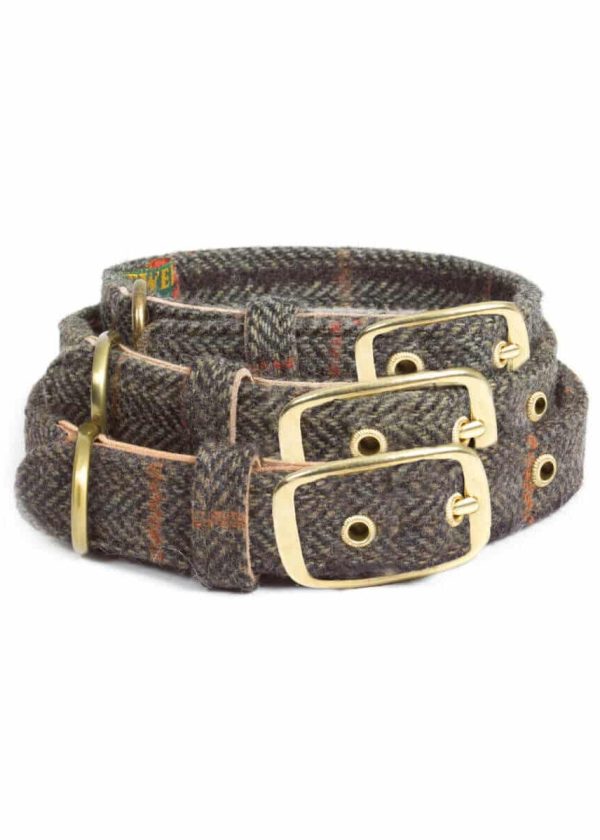 Collars Traditional 12 scaled e1596216104437
