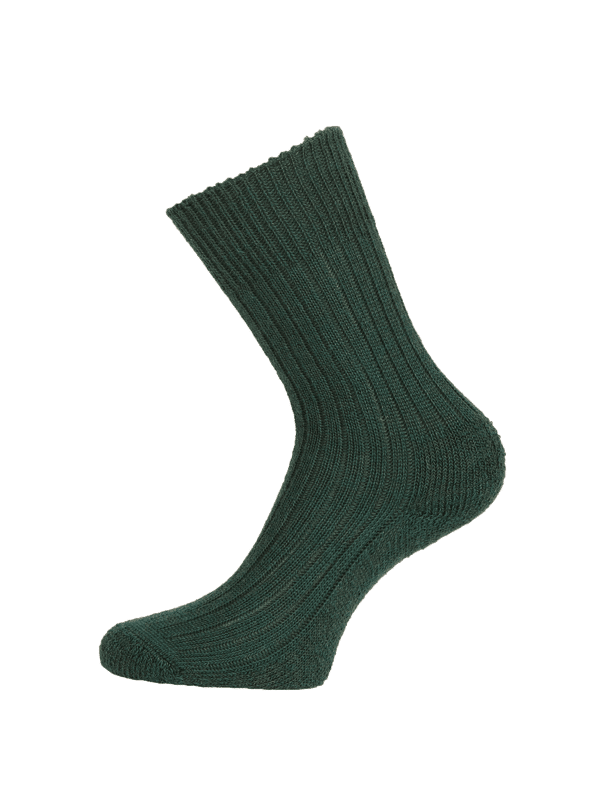 Companion green800 x 800 for web