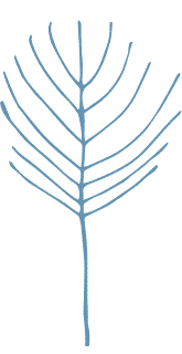 WildWoolPic I Website2020 I ShopByColourGraphicBLUE 1