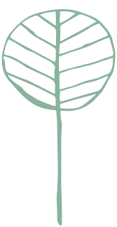 WildWoolPic I Website2020 I ShopByColourGraphicGREEN