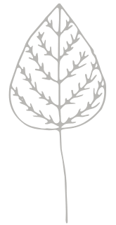 WildWoolPic I Website2020 I ShopByColourGraphicNEUTRAL