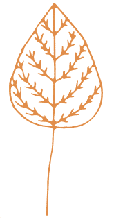 WildWoolPic I Website2020 I ShopByColourGraphicORANGE 1