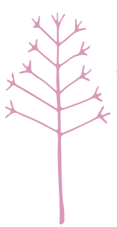 WildWoolPic I Website2020 I ShopByColourGraphicPINK