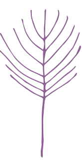 WildWoolPic I Website2020 I ShopByColourGraphicPURPLE