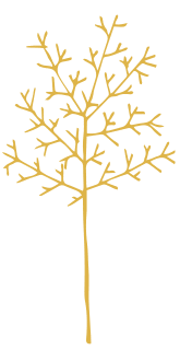 WildWoolPic I Website2020 I ShopByColourGraphicYELLOW