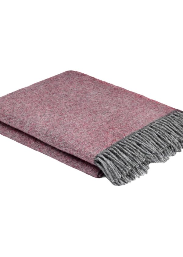 photoroom 20210510 162921