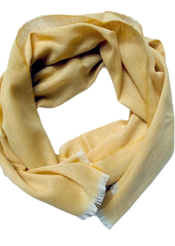 photoroom 20210518 145634