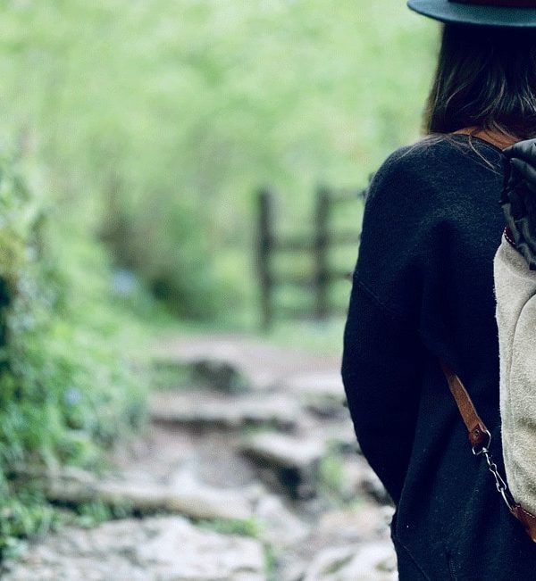 WildWool recycled pure wool walkers companion birch