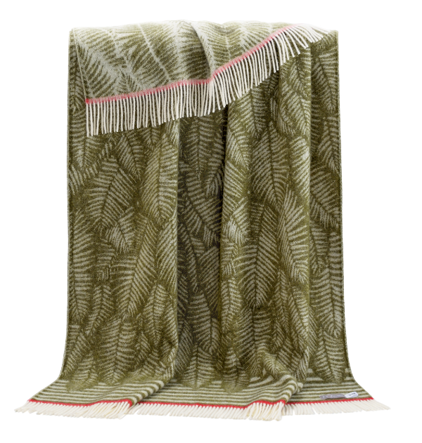 Fern with red throw shetland