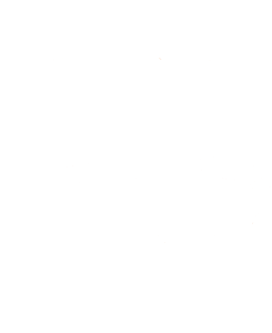 wildwool webasset logowhite wildwool webasset logowhite