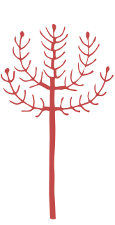 WildWoolPic I Website2020 I ShopByColourGraphic RED