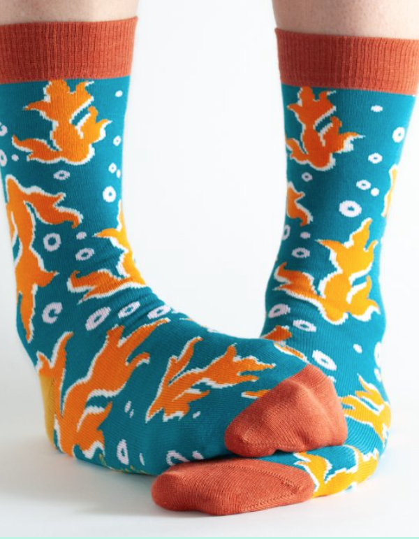 Fish bamboo socks .png