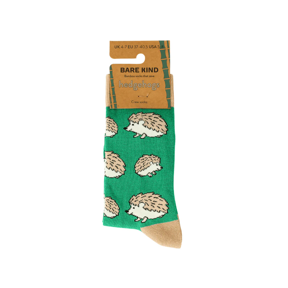 hedgehog charity sock.webp