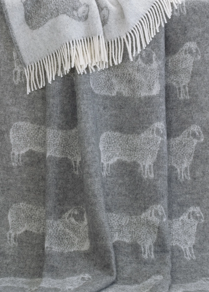 grey sheep throw wool